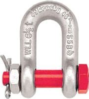 Delcot Bolt D Shackle 2 Ton Price in India - Buy Delcot Bolt D Shackle ...