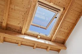 Image result for skylight 天窗