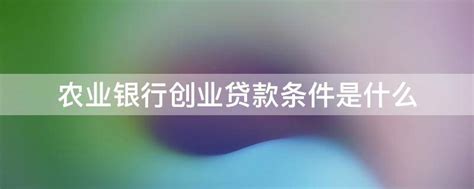 黄河银行百亿创业贷款为农村妇女创业致富“铺路搭桥“-宁夏新闻网