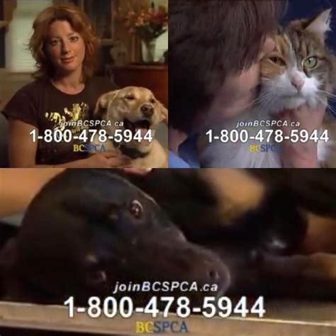 That Sarah McLachlan Animal Cruelty Commercial that used to come on and ...