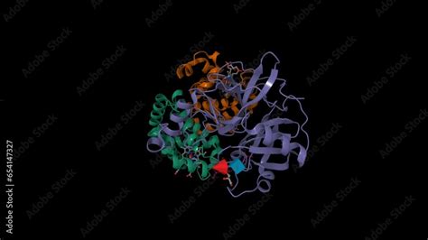 Image result for Complex Structure of Haemoglobin