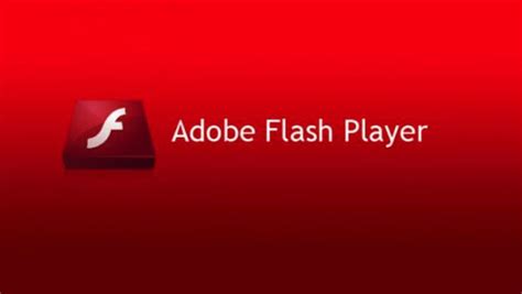Cách Tải Adobe Flash Player Win 10 64Bit Bản Chuẩn Mới Nhất, Tải Adobe ...