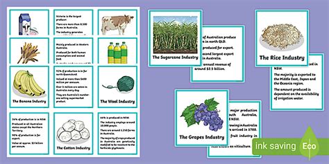 Food and Fibre Production Matching Cards (teacher made)