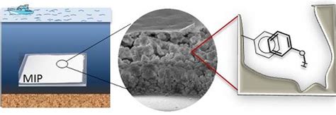 Development of Molecularly Imprinted Polymer in Porous Film Format for ...