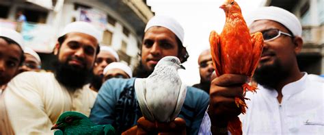 The Wire: The Wire News India, Latest News,News from India, Politics ...