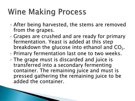 Wine Making Process 的图像结果