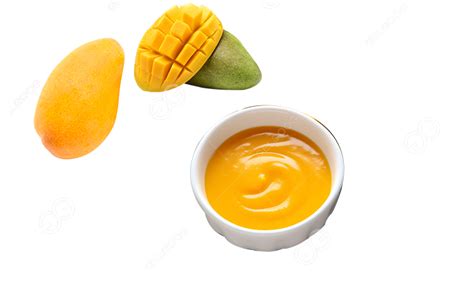 Image result for Mango Pulp Processing
