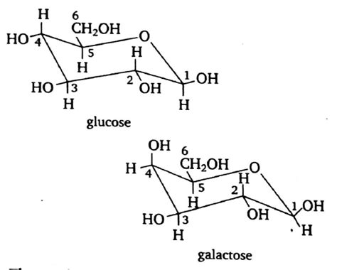 Which of the following statements are true? (1) Maltose forms an ...