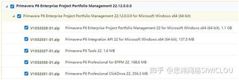 Image result for P6 Pro Oracle
