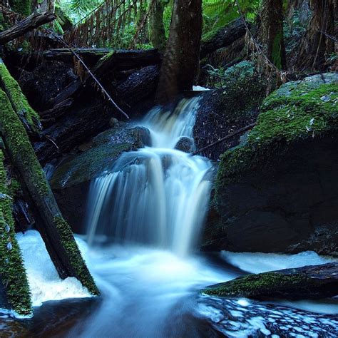 HOLWELL GORGE STATE RESERVE (2026) All You Need to Know BEFORE You Go ...
