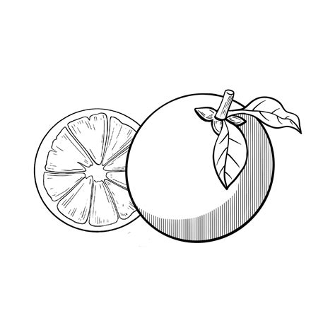 Orange Picture Clipart Black And White Transpa Background - Infoupdate.org