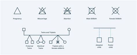 Image result for Genogram Patterns
