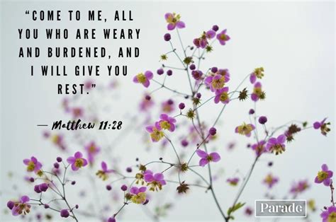 Healing Scriptures Words of Life 的图像结果