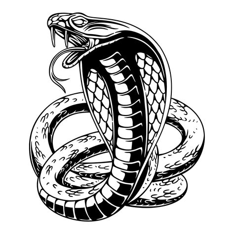vector design angry cobra with circle background black and white ...