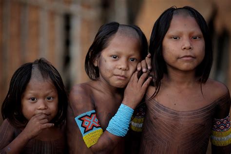 Indigenous Amazonian Cultures: Traditions and History