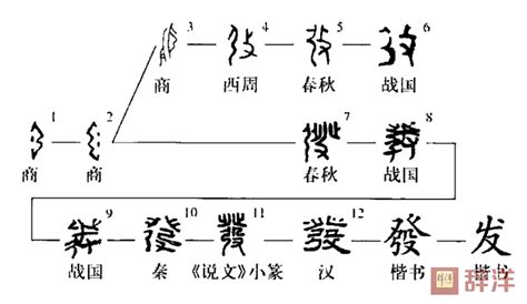 细说汉字“发”，发字的本义、发字演变及起源 - 细说汉字 - 辞洋