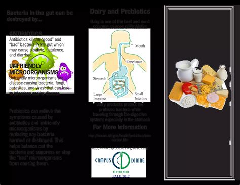 The Basics of Probiotics | PDF