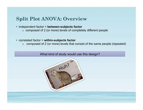 Split-Plot Design Anova 的图像结果