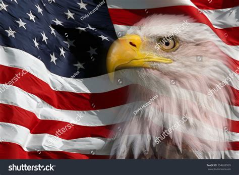 Usa Flag Eagle Wallpaper