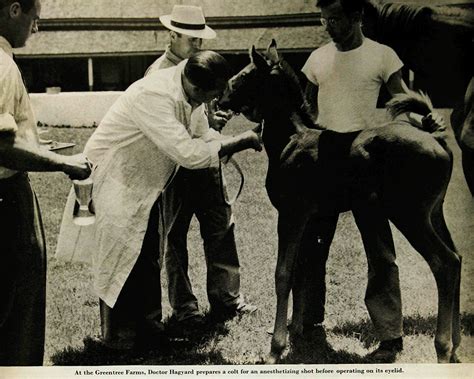 Hagyard Equine Medical Institute - Leading Equine Veterinary Care