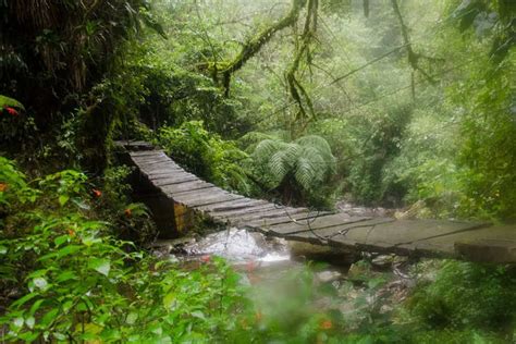 In pictures: The wettest places on Earth! | Times of India Travel