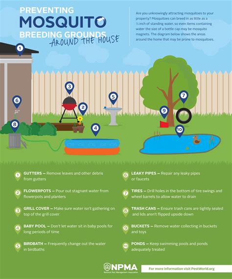 Understanding Mosquito Attraction: Expert Insights