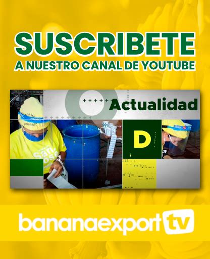 Ecuador logra récord de exportaciones de banano – Banana Export