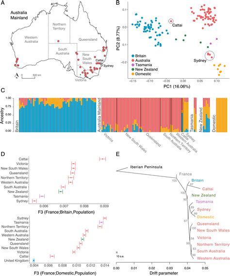 A single introduction of wild rabbits triggered the biological invasion ...