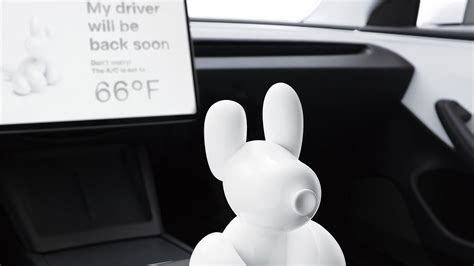 Exploring Tesla Dog Mode