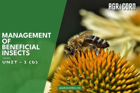 Unit 1(b) - Bee Enemies and Diseases | Management of Beneficial Insects