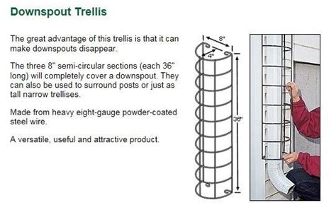 Image result for Gutter Maintenance Tips
