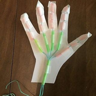 Robotic Hand Science Project 的图像结果
