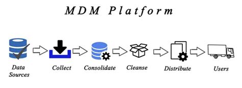 Master Data 的图像结果