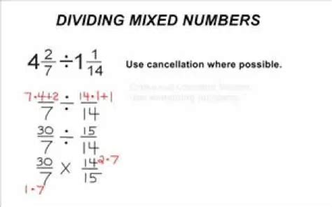 How to Divide Basic Numbers 的图像结果