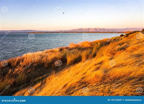 Shoreline Park Under the Sunset Light, Mountain View, San Francisco Bay ...