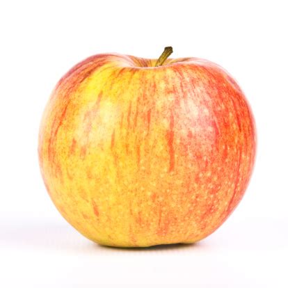 Image result for Apple System.Data