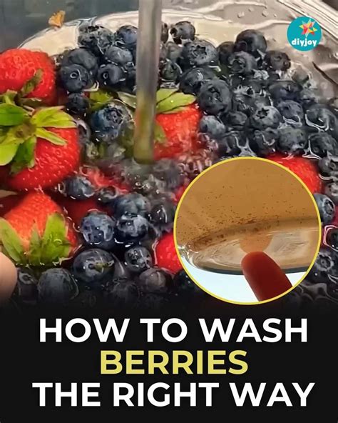 How to Wash Your Berries The Right Way - DIY Joy