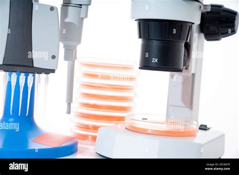 Microbiology Lab Instruments 的图像结果