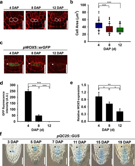 Dap Notes Community Support 的图像结果