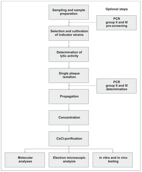 Campylobacter Phage Isolation and Characterization: What We Have ...
