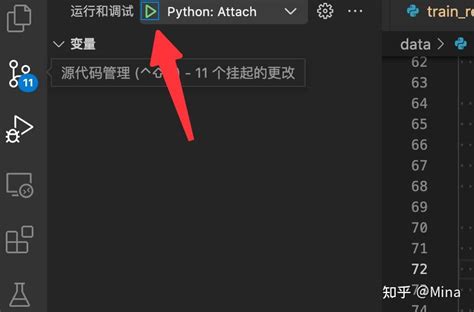 Image result for Debugpy