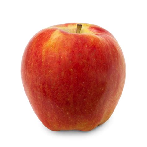 Image result for Apple System.Data