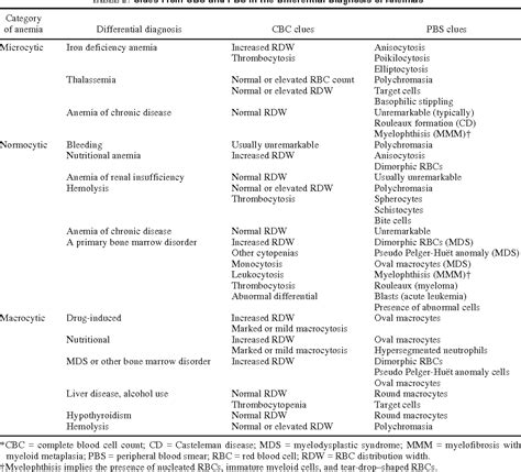 Cbc Differential Lymphoma at Wade Arnold blog