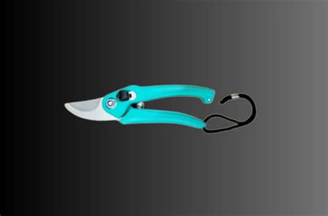 Pruning Shears vs. Garden Scissors: Key Differences Every Gardener Mus ...