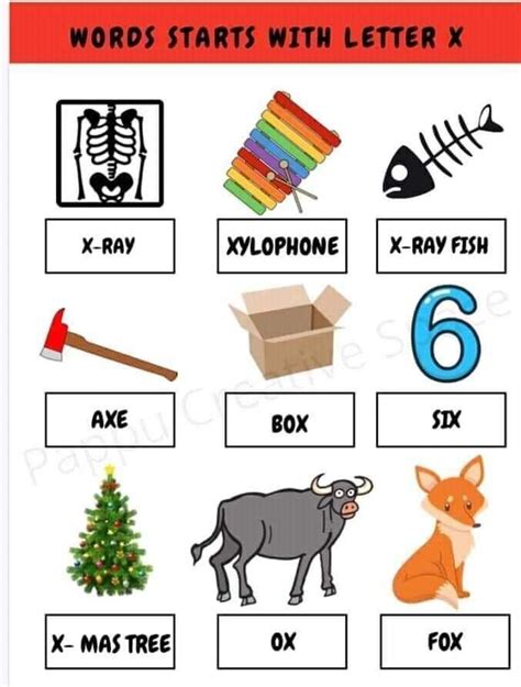 Words begin with the letter X in 2025 | Preschool alphabet printables ...