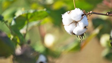 Research & Studies - Jiva Water