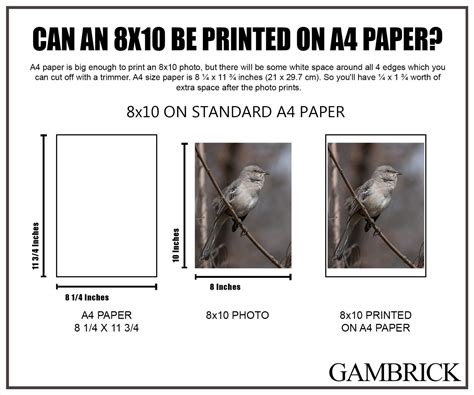 How Big Is 8X10 Compared To A4 at Dan Washington blog