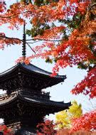 THE NORTH FACE ノースフェイス ND91840 Baltro Light Jacket バルトロ ライト ジャケット ダウン ...