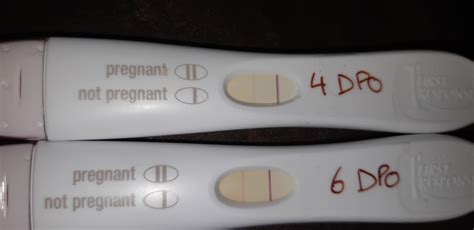 6 Dpo First Response Positive Day Faint Positive 16dpo
