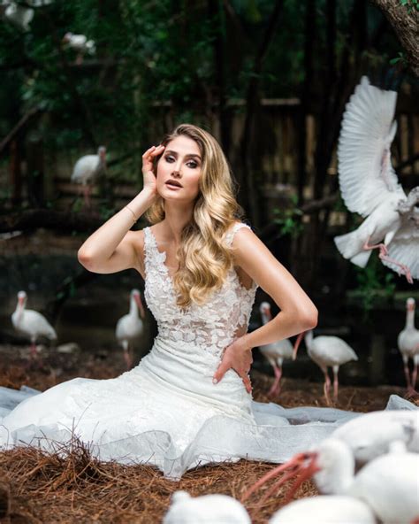 Animal Bride 的图像结果